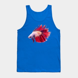 Betta Fish Tank Top